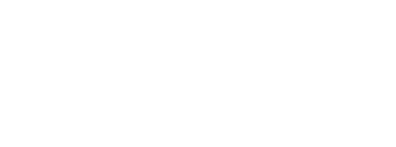 skinrave logo